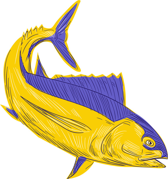 Tuńczyk ryba rysunek - Wektor, obraz