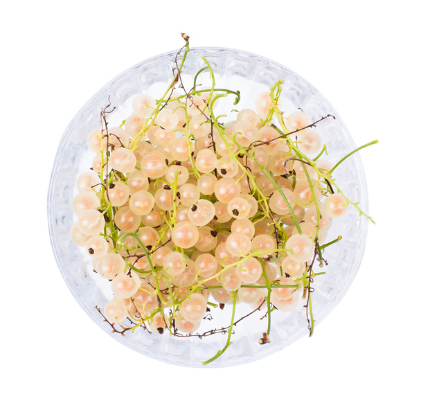 White currant in a bowl  - Foto, afbeelding