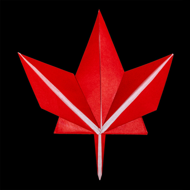 Origami fall red maple leaf - Foto, Imagen