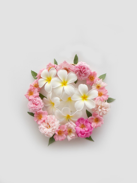 Красива тропічна квітка франгіпані на білому тлі
 - Фото, зображення