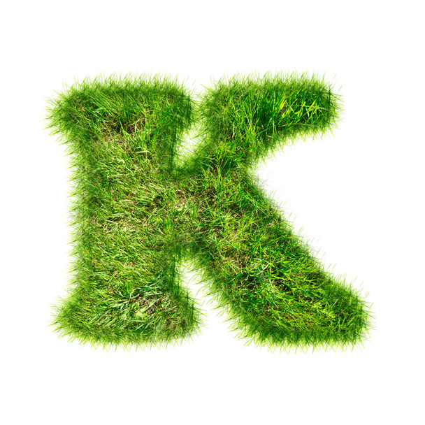 Буква K из зеленой травы
 - Фото, изображение