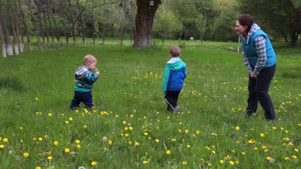 Kobieta uczy dwoje dzieci cios na dandelion, na Polanie kwiat - Materiał filmowy, wideo