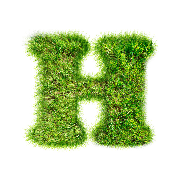 Kirjain H valmistettu vihreästä ruohosta
 - Valokuva, kuva