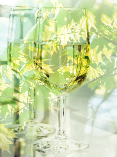Two glasses of white wine - Photo, image