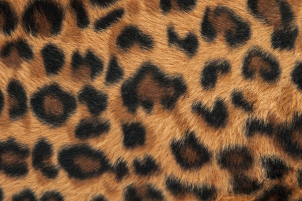 leopar veya jaguar deri desen arka plan - Fotoğraf, Görsel