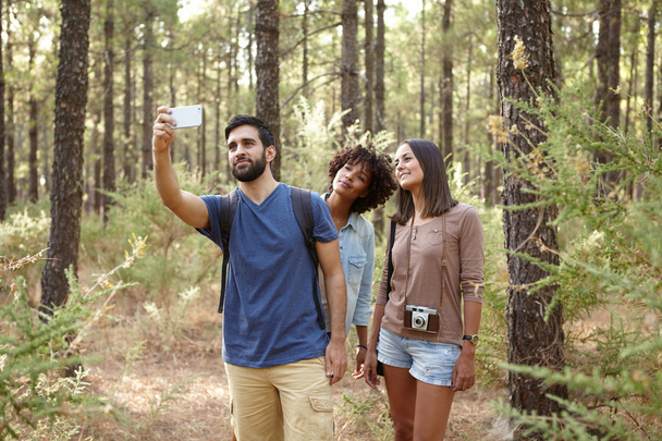  friends taking pine forest pictures - 写真・画像