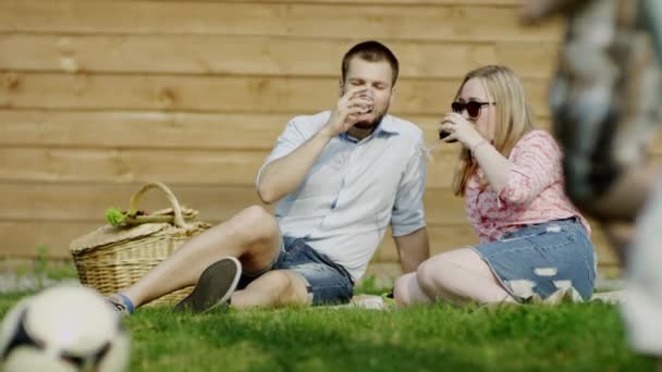 szczęśliwa para z dziećmi na piknik - Materiał filmowy, wideo