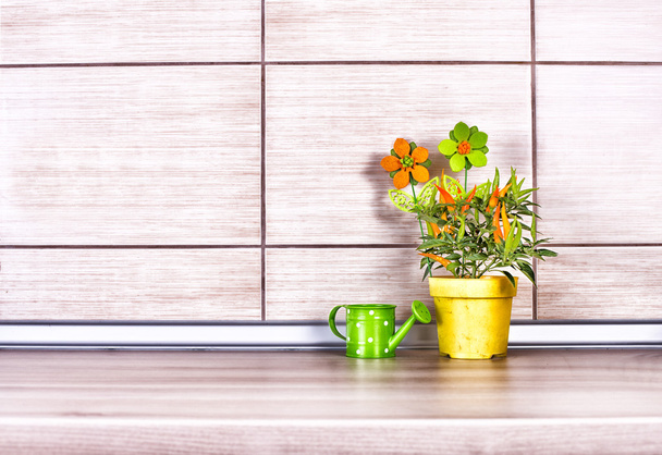 Pepper in flower pot and watering can on kitchen counter - Photo, Image