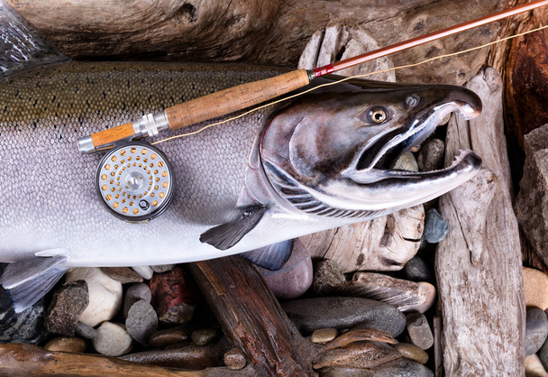 Equipo de pesca con mosca vintage en trucha grande en el lecho del río
 - Foto, Imagen