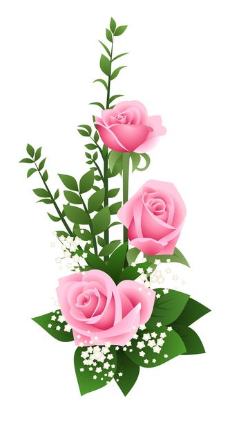 Bouquet of pink roses and gypsophila. Vector illustration. - Vecteur, image