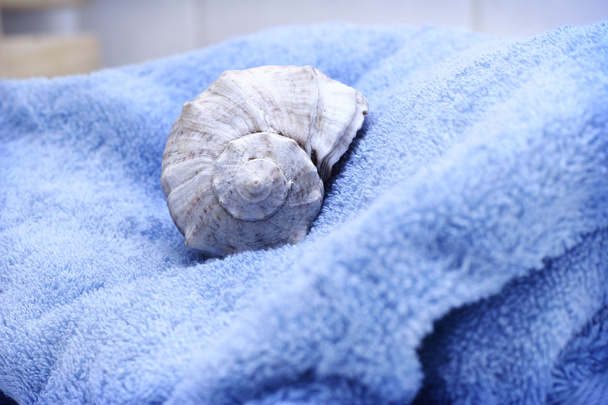 Towel and a seashell - Photo, Image
