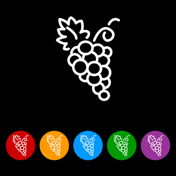 Druiven, trossen druiven - Vector, afbeelding
