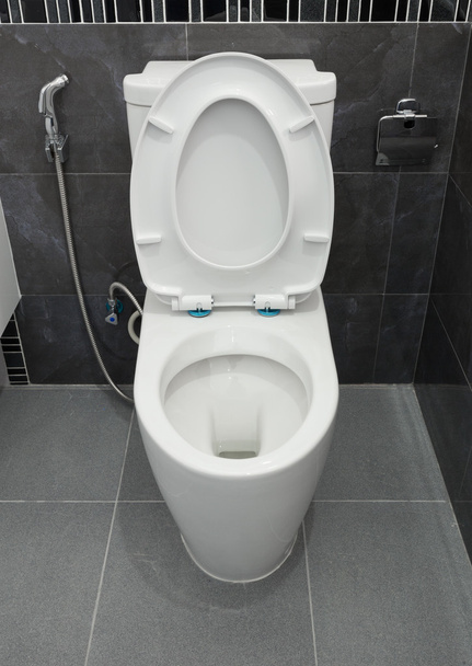 Toilet bowl in a bathroom - Φωτογραφία, εικόνα