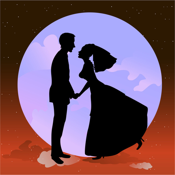 beautiful groom and bride in romantic night - Vector, afbeelding