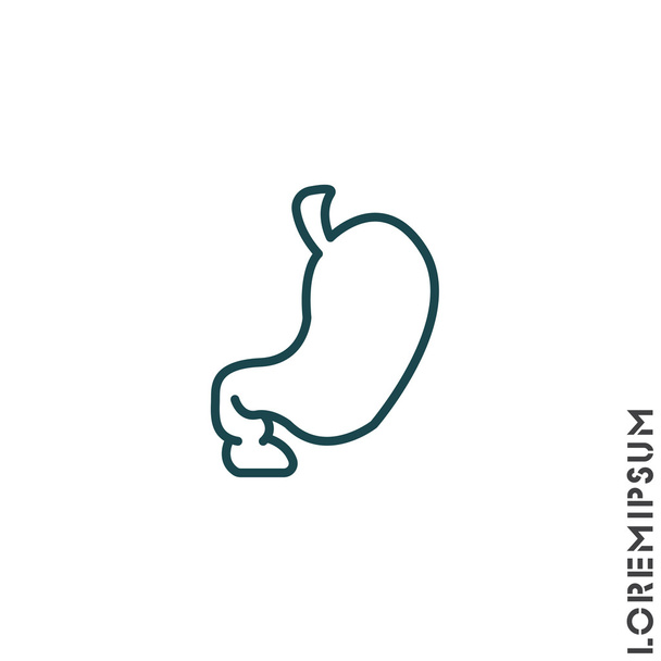 human organ, Stomach - Vector, Image