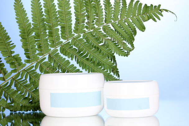 Jar of cream with branch of fern on blue background - Photo, image