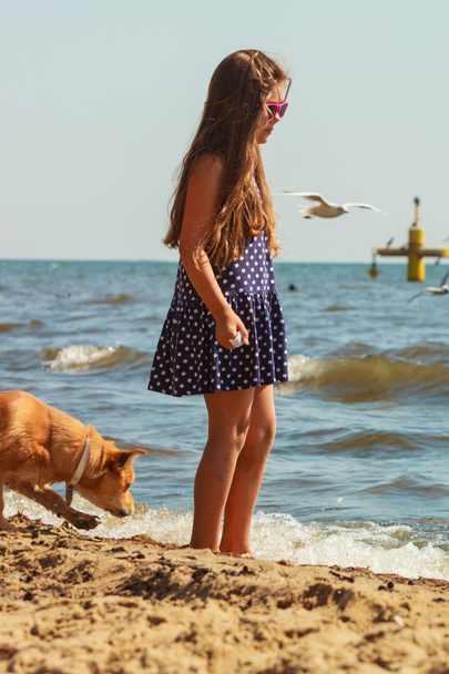 Girl playing with her dog. - Foto, Imagen