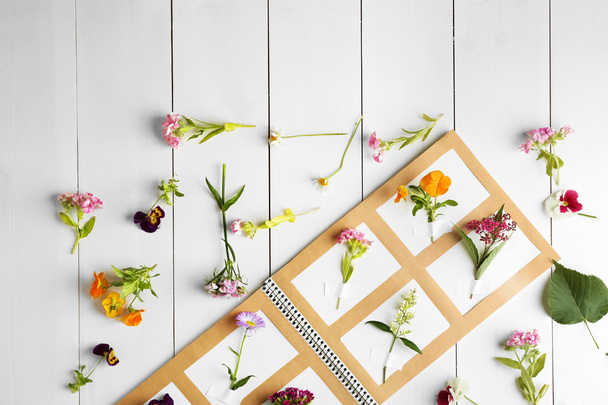 Collection of flowers in notebook - Foto, immagini