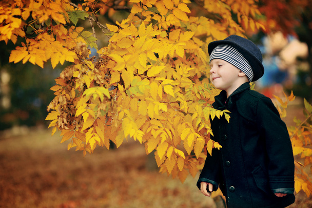 Retrato de otoño del niño
 - Foto, Imagen
