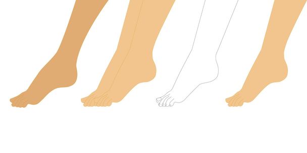 красиві жіночі ноги
 - Вектор, зображення