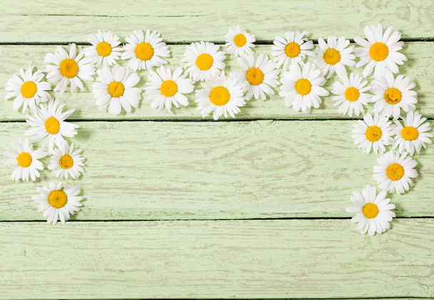 chamomile flower over green wooden background - Фото, изображение