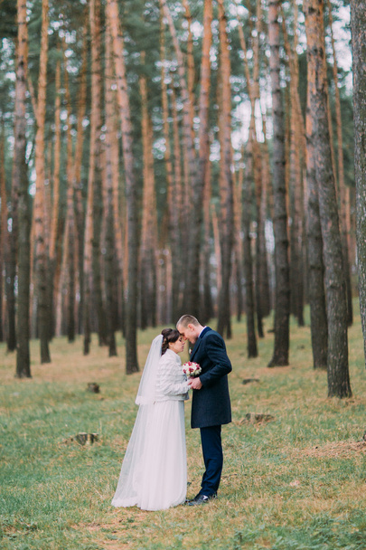 Happy newlywed pair have romantic walking in the young pine forest - Fotografie, Obrázek