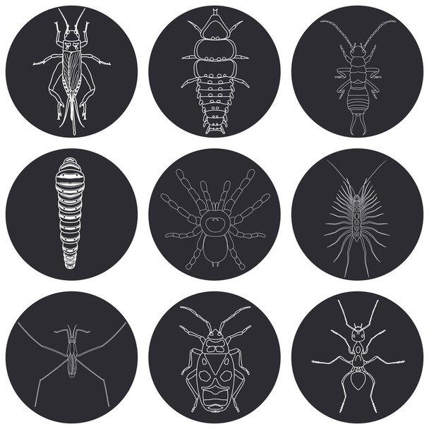 böcek Icons set. Kulağakaçan ve trilobite böceği, Firebug'ı ve kriket, kırkayak ve tırtıl, karınca ve su strider, - Vektör, Görsel