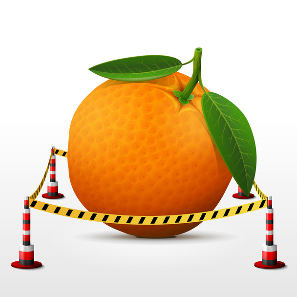Orange fruit located in restricted area - Vector, Image
