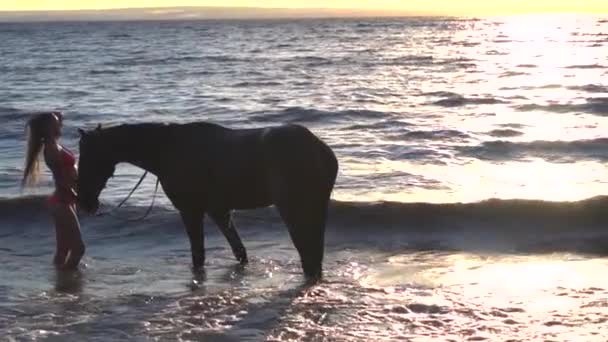 Молодая сексуальная женщина одетая в бикини отдых с лошадью в реке закат воды
 - Кадры, видео
