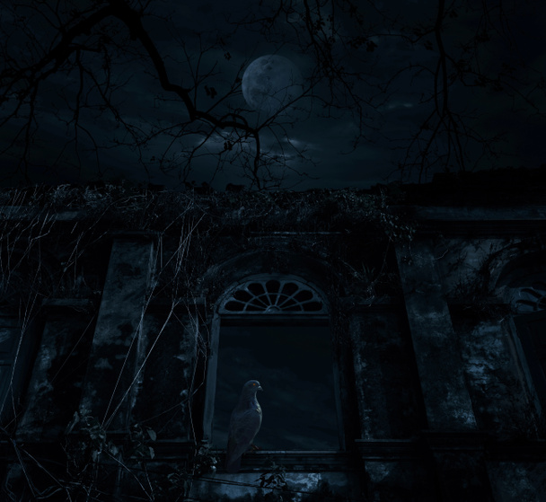 Bird sitting on old ancient window castle over dead tree, moon a - Photo, Image