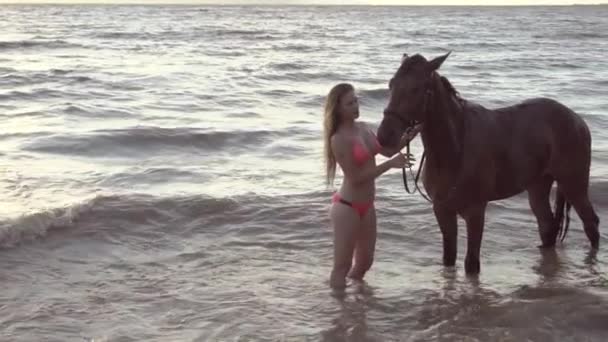 Giovane donna sexy vestito bikini prendersi cura di cavallo nel fiume acqua tramonto
 - Filmati, video