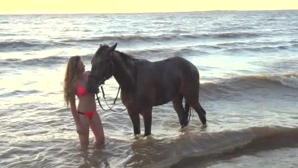 Молодая сексуальная женщина в бикини заботиться о лошади в реке закат воды
 - Кадры, видео