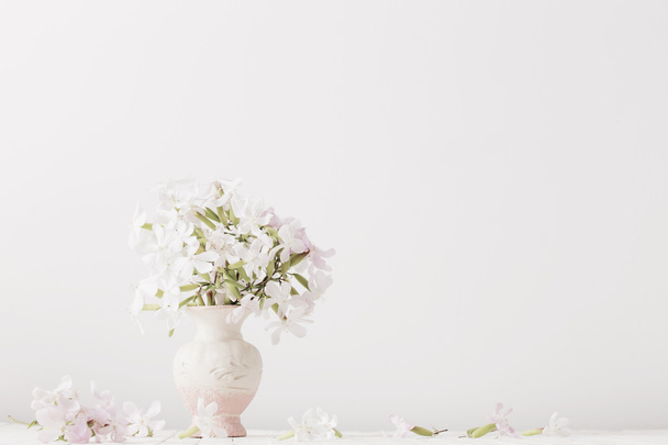 flowers in vase on white background - Φωτογραφία, εικόνα
