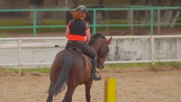 Tyttö ratsastaa hevosella - Materiaali, video