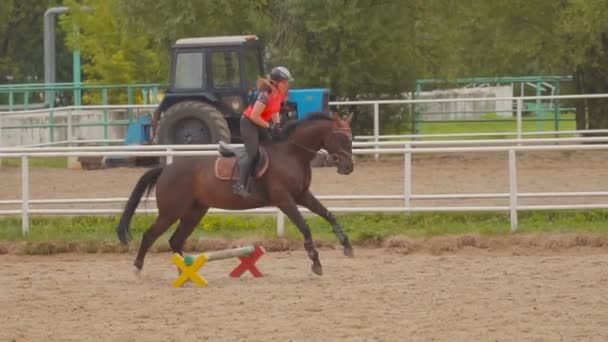 Tyttö ratsastaa hevosella - Materiaali, video