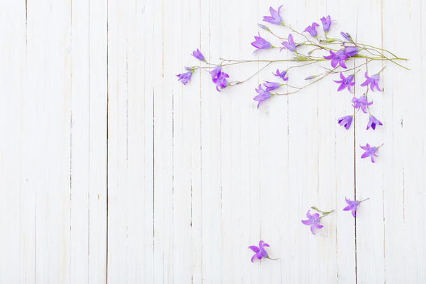 bluebell flowers om white wooden background - Foto, Imagem