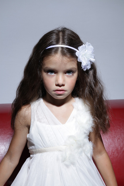 Portrait of young beautiful little girl with dark hair - Fotoğraf, Görsel