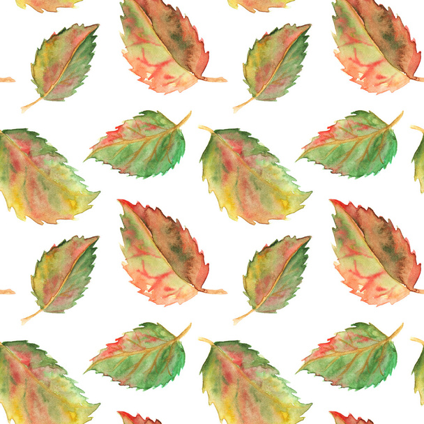 Autumn green yellow red leaves seamless pattern texture background - 写真・画像