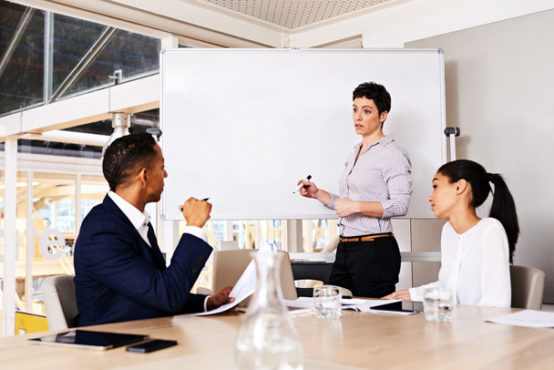 businesswoman giving presentation to other members - Photo, image