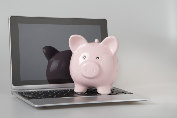 Свинка банка сидит на открытом ноутбуке
 - Фото, изображение