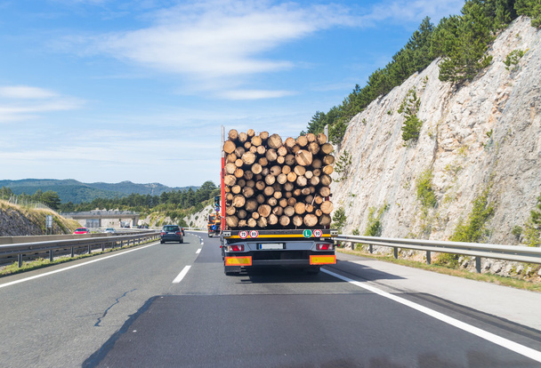 Φορτηγό φέρνοντας ξύλο στον αυτοκινητόδρομο. - Φωτογραφία, εικόνα