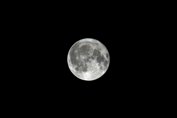 Luna llena - Foto, Imagen