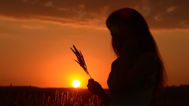 das Mädchen mit dem Weizen im Sonnenuntergang - Filmmaterial, Video