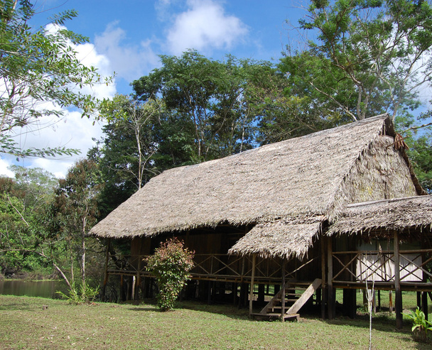 Джунглі Амазонки lodge
 - Фото, зображення