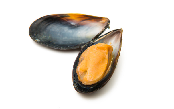 mussels cooked isolated  - Photo, Image