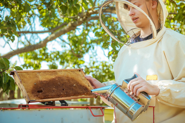 Beekeeper holds in hand a frame with honey honeycombs and bees - Fotoğraf, Görsel