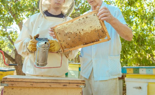 Beekeeper holds in hand a frame with honey honeycombs and bees - Foto, afbeelding