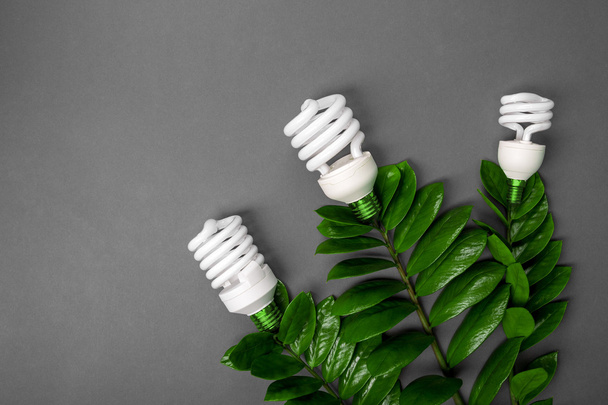 Três lâmpada LED com folha verde, conceito de energia ECO, de perto. Lâmpada no fundo cinzento. Economia e Ambiente Ecológico. Espaço de cópia
. - Foto, Imagem
