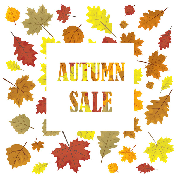 Sales banner with autumn leaves. Leafs in season vector sale design panel.  illustration. White background. - Vector, Image