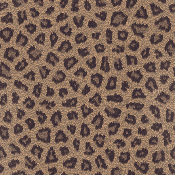 Leopardenfell Hintergrund  - Foto, Bild